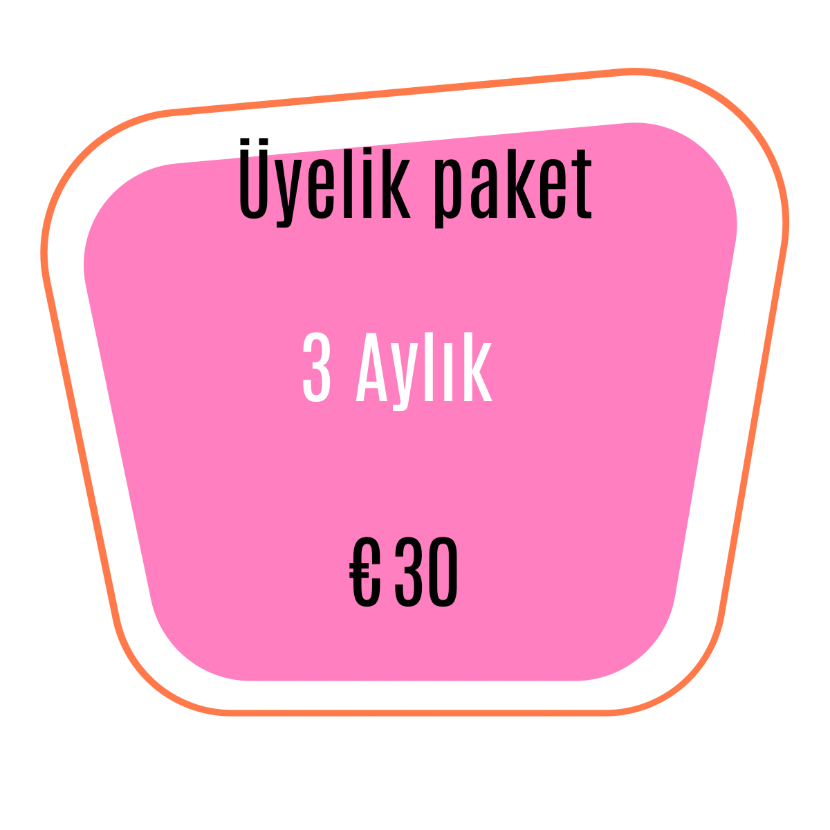 3 Aylık Abonelik